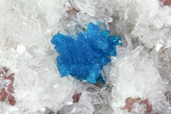 Vibrant Blue Cavansite Cluster on Stilbite - India #67804